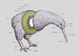 Illustration for article titled Groupassociations: If you were a fruit, what fruit would you be?